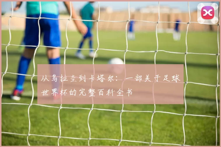 从乌拉圭到卡塔尔:一部关于足球世界杯的完整百科全书