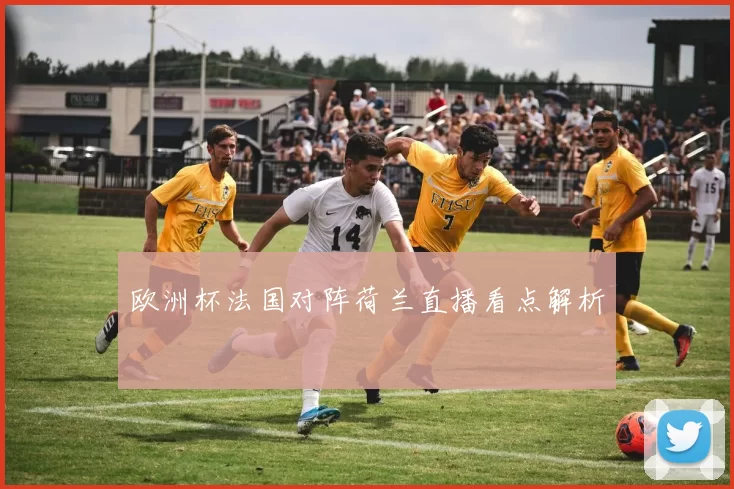 欧洲杯法国对阵荷兰直播看点解析