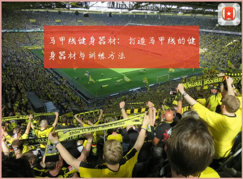 马甲线健身器材:打造马甲线的健身器材与训练方法