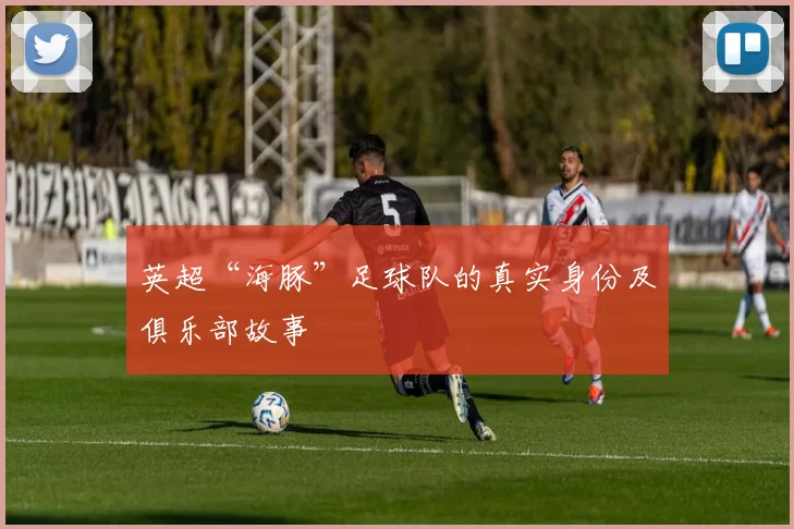 英超“海豚”足球队的真实身份及俱乐部故事