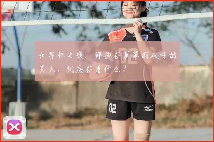 世界杯之夜:那些在屏幕前欢呼的男人,到底在看什么?