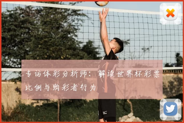 专访体彩分析师：解读世界杯彩票比例与购彩者行为