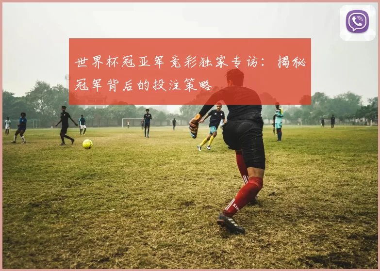 世界杯冠亚军竞彩独家专访:揭秘冠军背后的投注策略