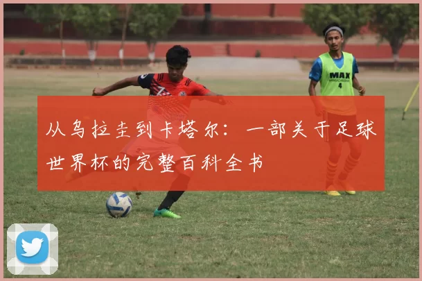 从乌拉圭到卡塔尔:一部关于足球世界杯的完整百科全书