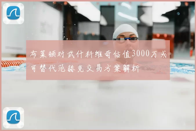 布莱顿对武什科维奇估值3000万或可替代范赫克交易方案解析