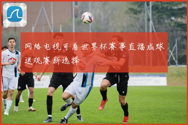 网络电视可看世界杯赛事直播成球迷观赛新选择