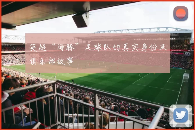 英超“海豚”足球队的真实身份及俱乐部故事