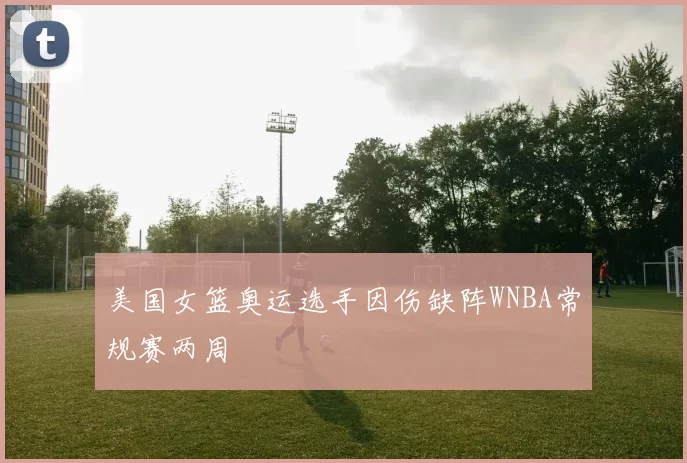 美国女篮奥运选手因伤缺阵WNBA常规赛两周