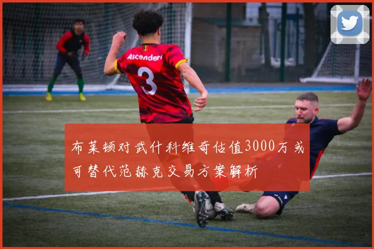 布莱顿对武什科维奇估值3000万或可替代范赫克交易方案解析