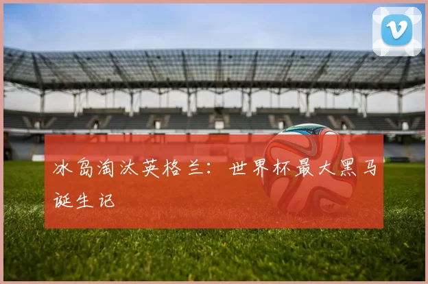 冰岛淘汰英格兰：世界杯最大黑马诞生记