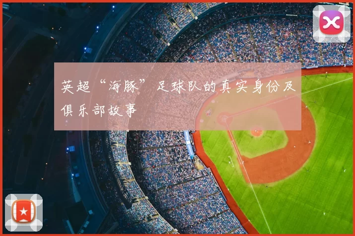 英超“海豚”足球队的真实身份及俱乐部故事