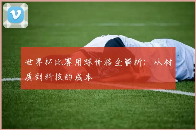 世界杯比赛用球价格全解析:从材质到科技的成本