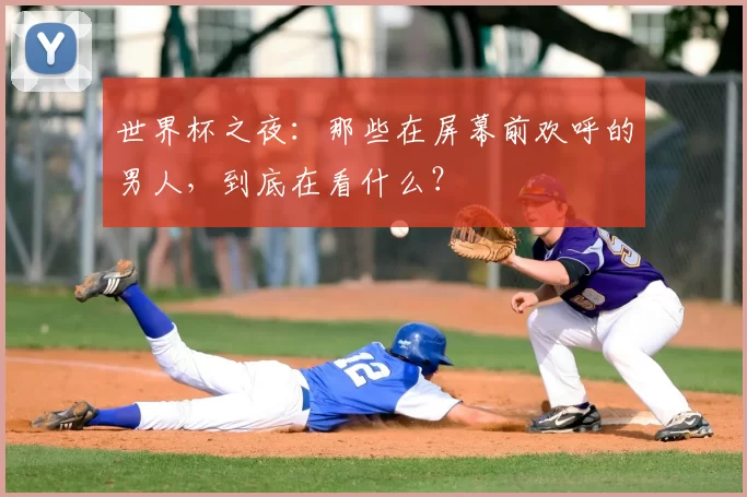 世界杯之夜:那些在屏幕前欢呼的男人,到底在看什么?