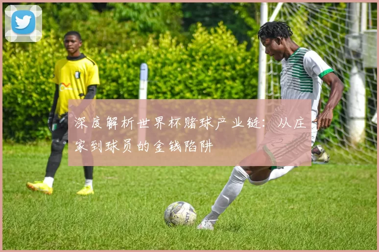 深度解析世界杯赌球产业链:从庄家到球员的金钱陷阱
