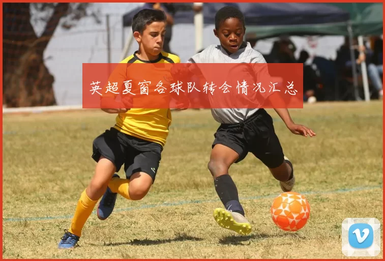 英超夏窗各球队转会情况汇总