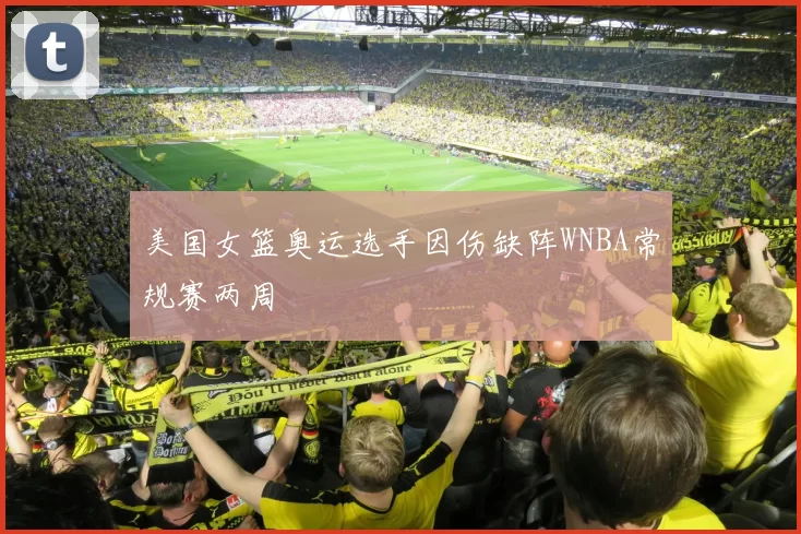 美国女篮奥运选手因伤缺阵WNBA常规赛两周