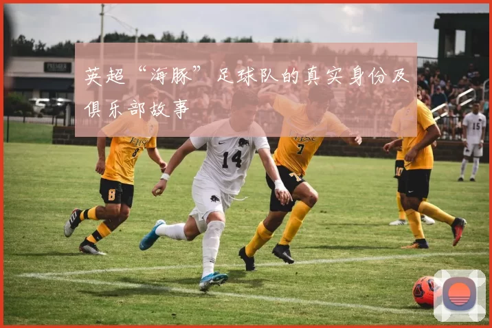 英超“海豚”足球队的真实身份及俱乐部故事