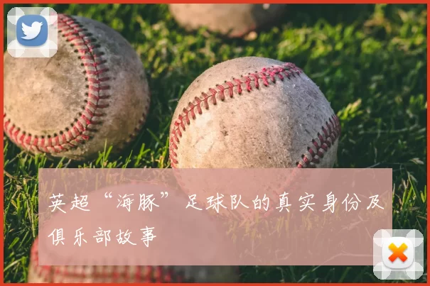 英超“海豚”足球队的真实身份及俱乐部故事